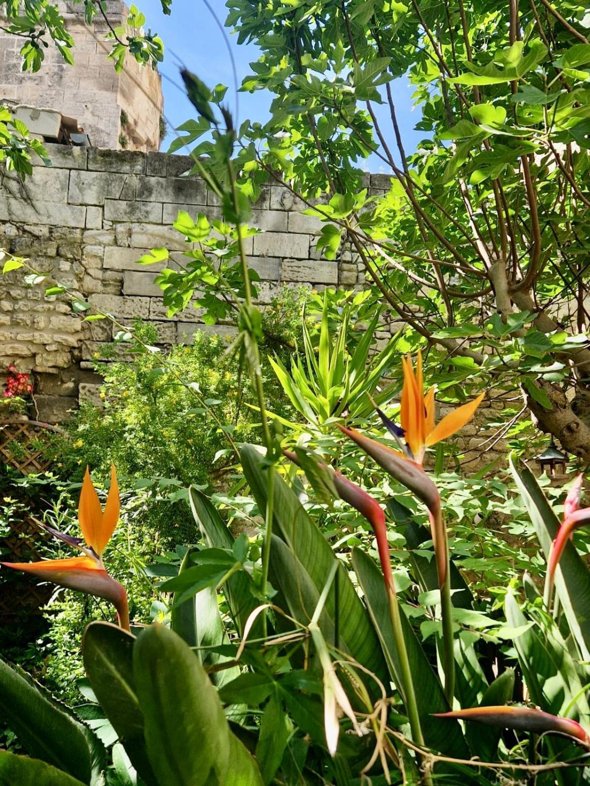 Apartamento Capucines, Un Jardin Secret Dans Le Centre Historique *