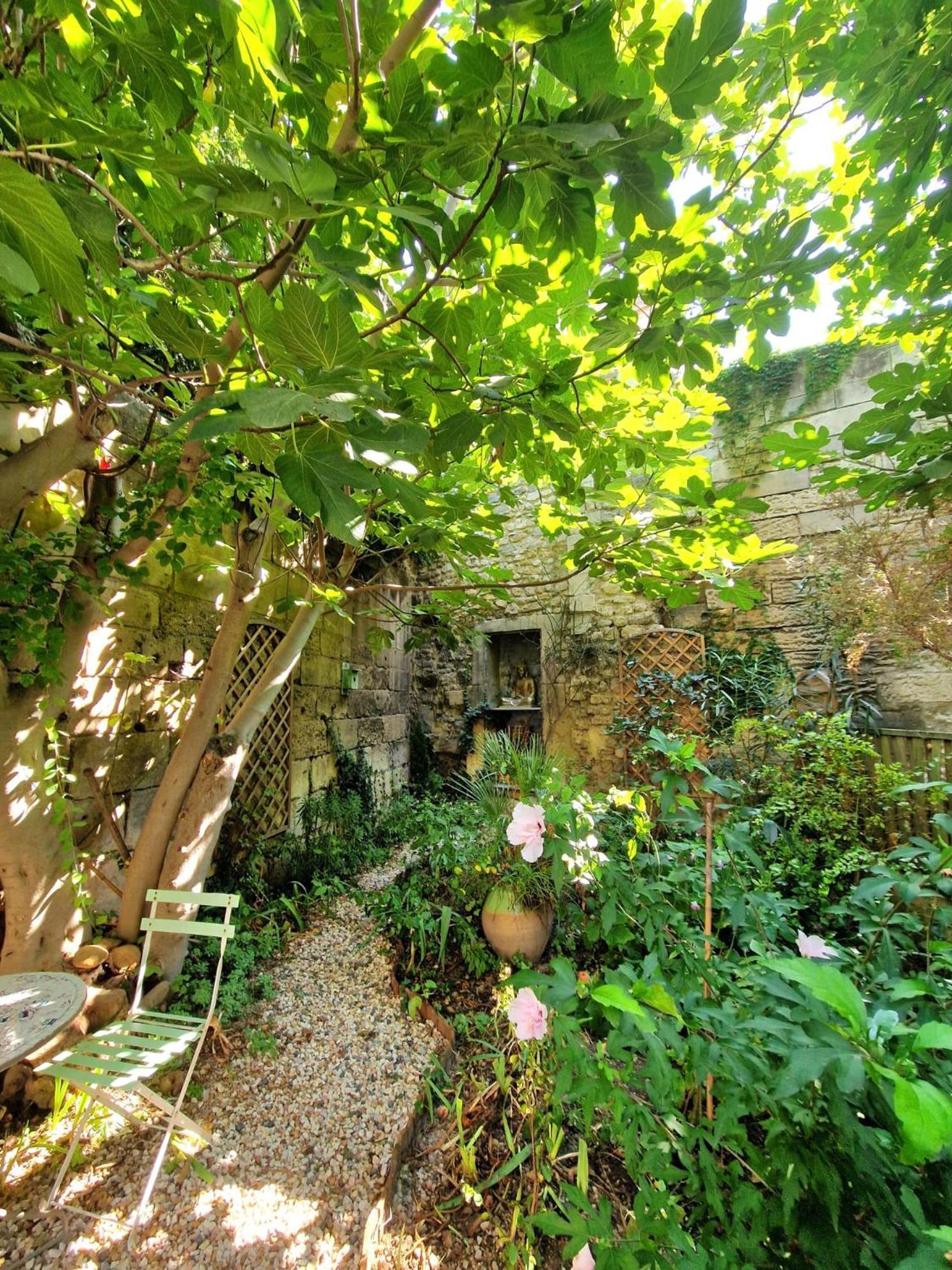 Capucines, Un Jardin Secret Dans Le Centre Historique Apartamento *
