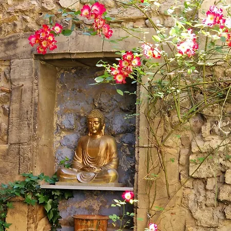 Appartement Capucines, Un Jardin Secret Dans Le Centre Historique à Arles Extérieur photo