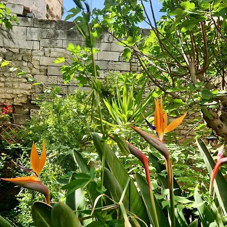 Appartement Capucines, Un Jardin Secret Dans Le Centre Historique à Arles Extérieur photo